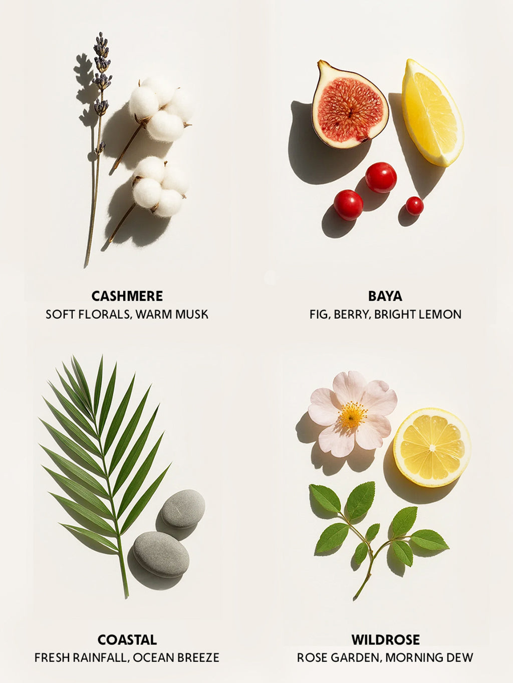 Body butter — 8 oz