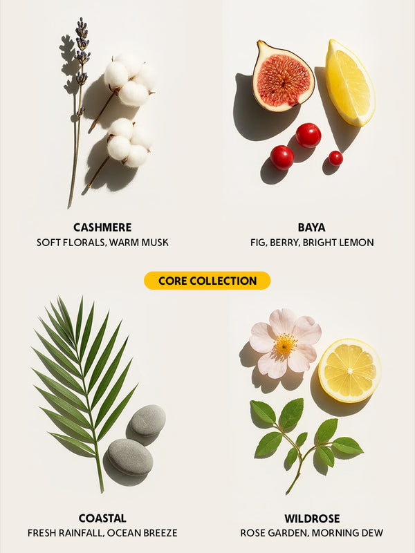 Body butter discovery set